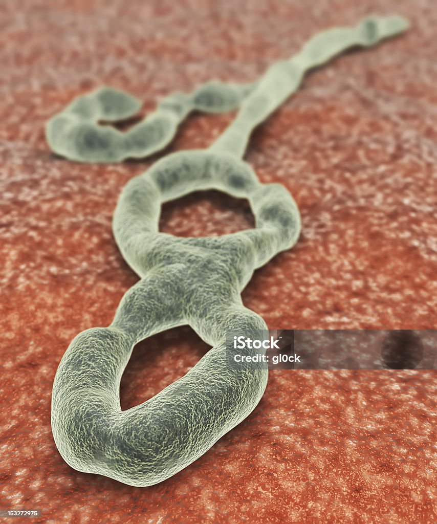エボラ出血熱ウィルス - ウイルスのロイヤリティフリーストックフォト