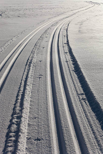 istock tracks in the snow 153273248