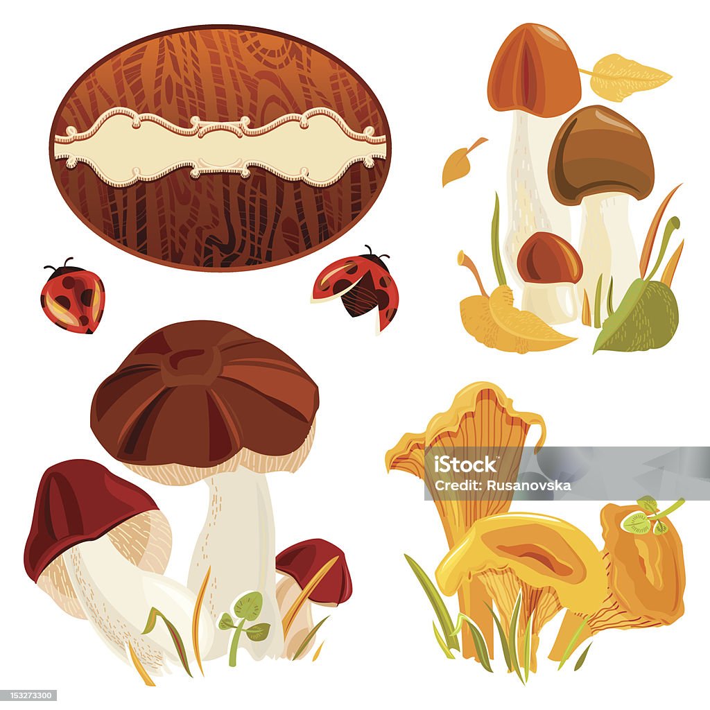 Set di foresta d'autunno funghi - arte vettoriale royalty-free di Regno dei funghi