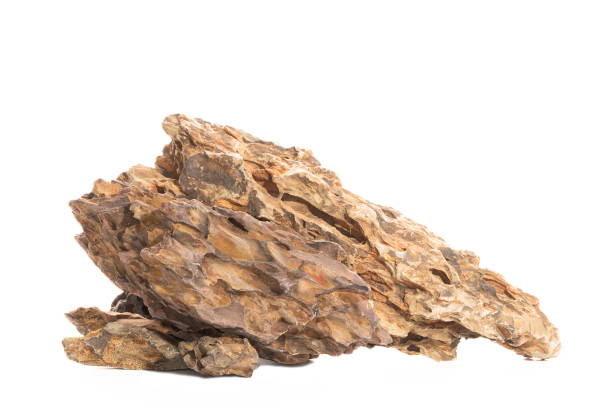 istock Ohko dragon stone for aquascaping design 1532735275