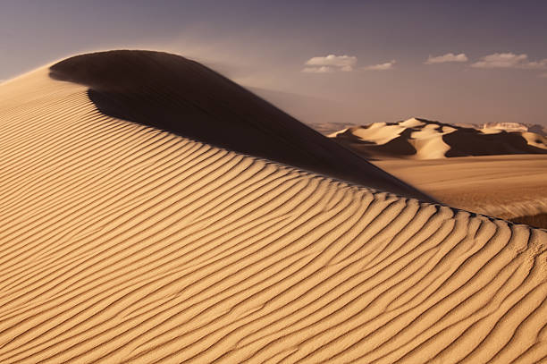 grande mer de sable dans le désert du sahara occidental près de siwa, égypte - great sand sea photos et images de collection