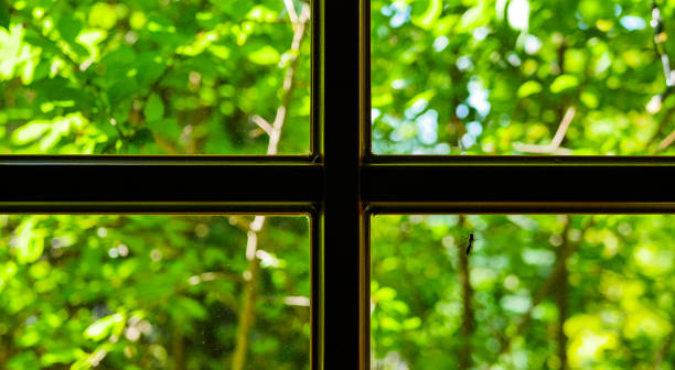 istock Window with a view behind the greenery in the garden, fly on the window. 1532758129