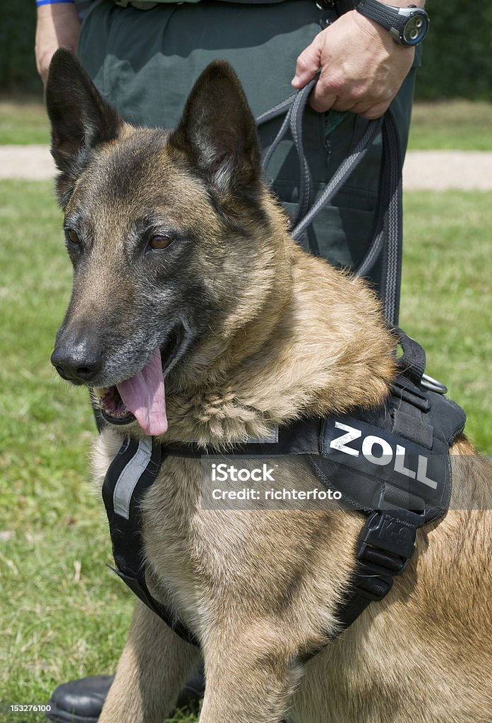 Deutsche Traditionen Hund - Lizenzfrei Deutschland Stock-Foto