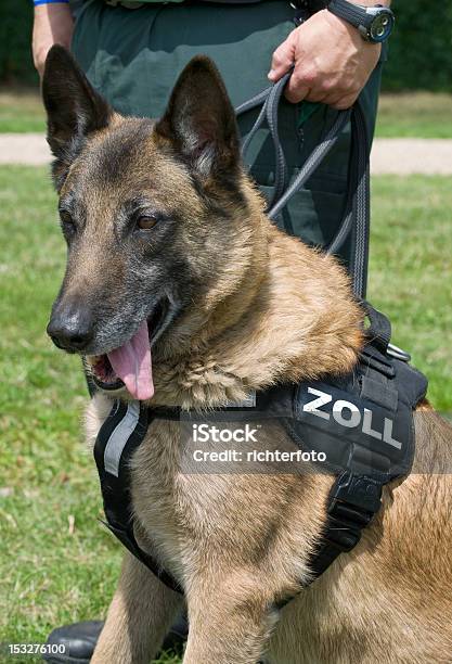 Deutsche Traditionen Hund Stockfoto und mehr Bilder von Deutschland - Deutschland, Polizei, Deutsche Kultur