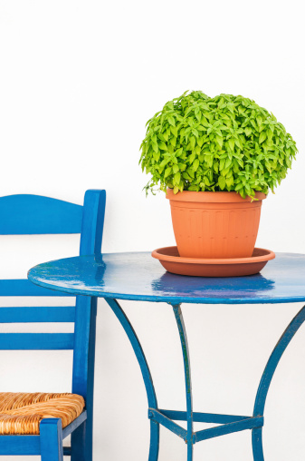 Greek island scene with blue chair, table and basil flowerpot