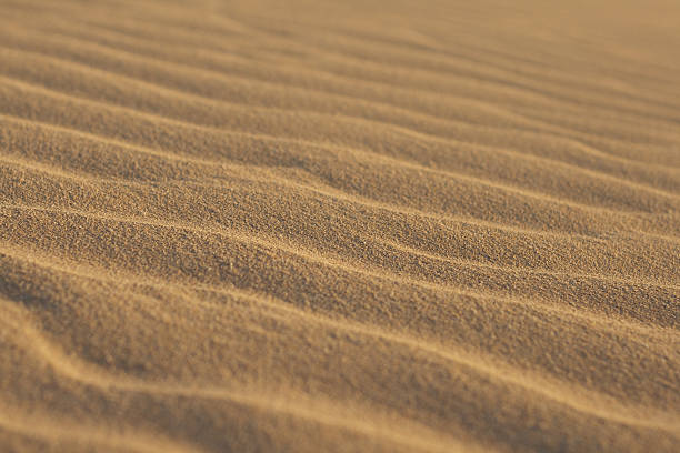 Close-up of sand ripples stock photo