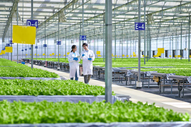 istock Two Asia Researcher Walking  & Discussing at Modern Greenhouse 1532785708