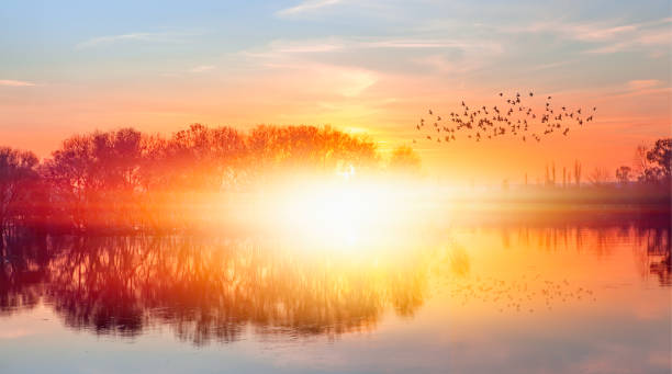 istock Birds silhouettes flying over the lake with 1532787281