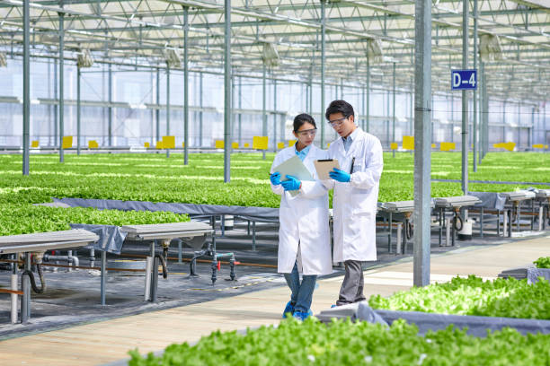istock Two Asia Researcher Walking  & Discussing at Modern Greenhouse 1532790491