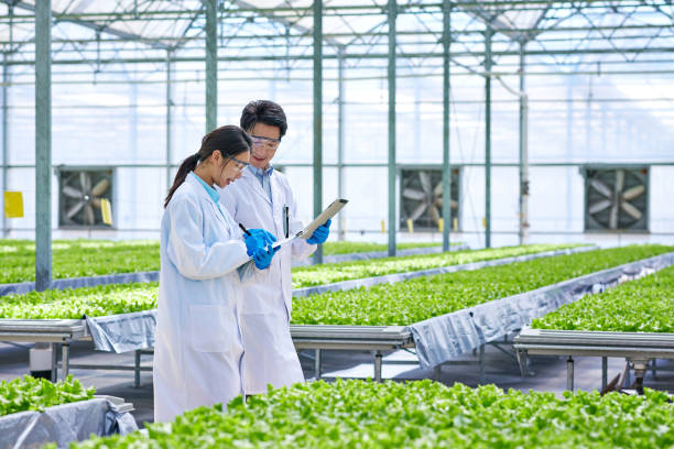 istock Two Asia Researcher Examining & Discussing at Modern Greenhouse 1532793196