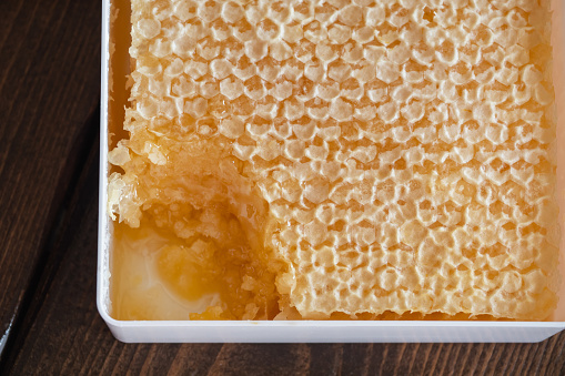 queenbee on honeycomb