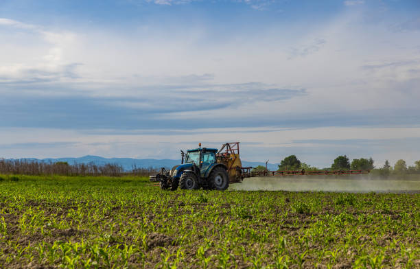 istock Agricultural tractor spraying field 1532814993