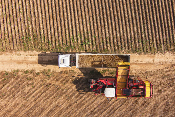 istock Agricultural potato combine harvester 1532830623