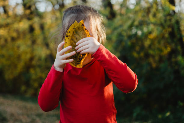 Free Stock Photo of Little Girl Holding Red Leaf in Front of Face ...
