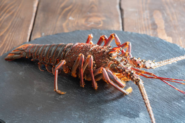 istock Fresh spiny lobster eaten as sashimi. 1532844974
