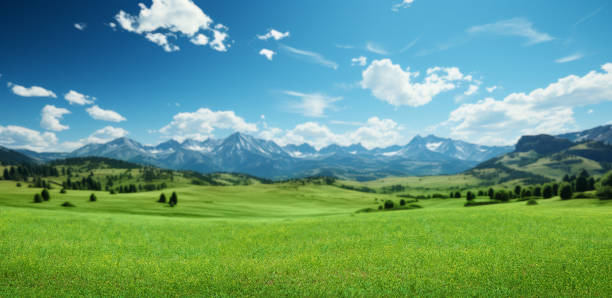 istock Landscape featuring a green meadow and snowy mountains 1532859330