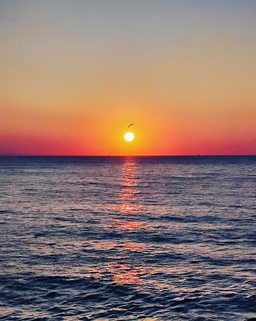 Puesta de sol en el mar photo