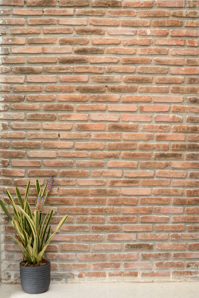 Brick wall in perspective. Canon Eos 5D mark II.