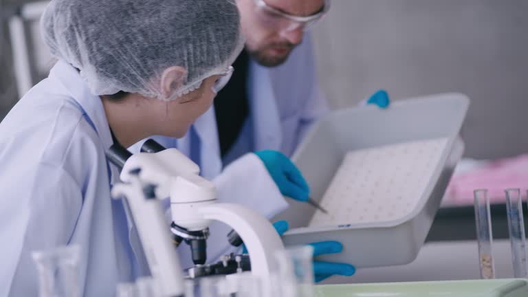 Agronomist and plant scientist using a microscope in the laboratory