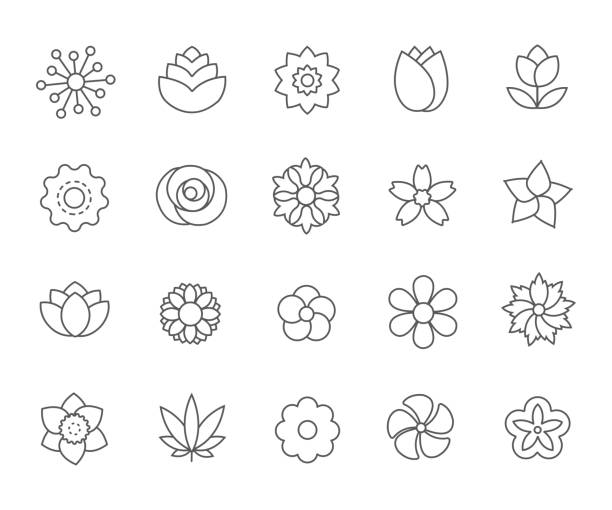 Flowers. Linear icons Flowers. Linear icons. Vector image. magnolia flower icon stock illustrations