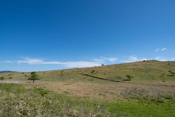 istock Kirigamine Plateau in summer 1533052699