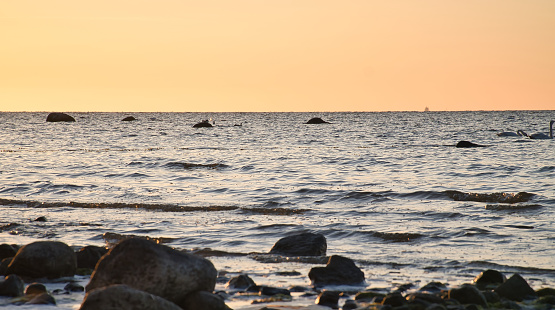 Sunset, stone beach with small and large rocks in front of the illuminated sea. Light waves. Poel island on the Baltic Sea. Nature photo from the coast