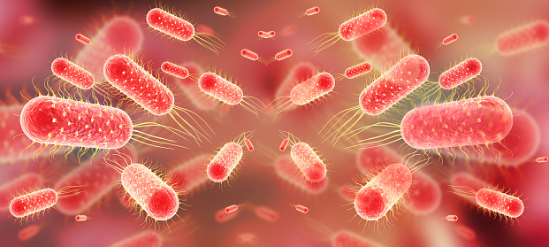 Typhoid bacteria background.3d illustration