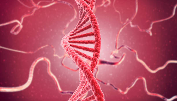 istock DNA strand on medical background 1533146376