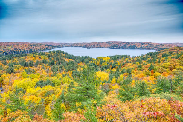 istock Trees Showing Autumn Colours Rolling Hills and a Distant Lake 1533180586