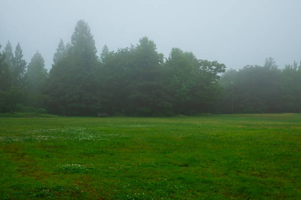 I took this pic in Japan.