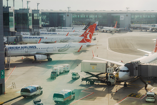 Turkish airline planes standing in Istanbul Airport at sunset