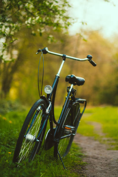 istock Bicycle on a road in a park in sunny spring day. 1533233796