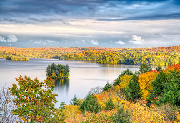 istock Trees Showing Autumn Colours Rolling Hills and a Distant Lake 1533259023