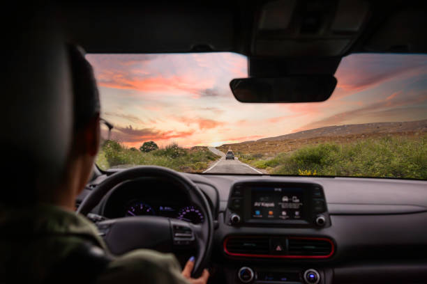 istock Young Woman on a Road Trip 1533294353