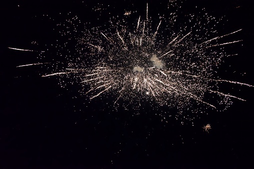 A spectacular and vibrant display of fireworks erupting in the night sky