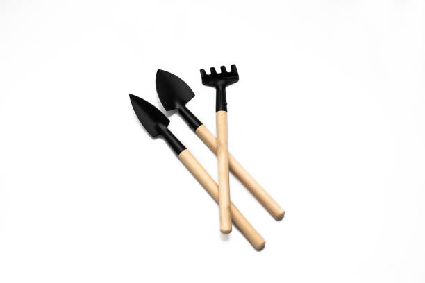 istock Wooden Gardening tools, shovel, rake on white background 1533317780