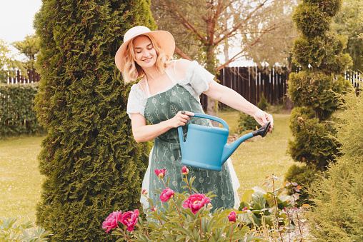 A beautiful mature girl with short blonde blonde hair in a blue vintage fashionable dress with a dark apron waters flowers from a large blue watering can and takes care of them in her beautiful summer garden in the backyard of her house in the village