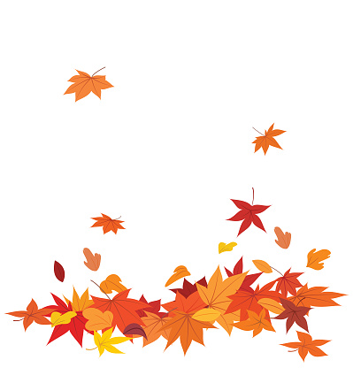 istock Autumn leaves falling 1533379127