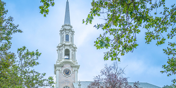 Bright spring colors of fresh sycamore tree leaves and branches and a church steeple with the sky background