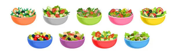 Vector illustration of Fresh Salads in Bowl with Mixed Ingredients Vector Set