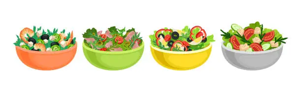 Vector illustration of Fresh Salads in Bowl with Mixed Ingredients Vector Set