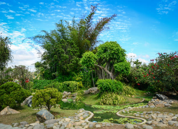 istock Landscape of green forest at summer time 1533422860