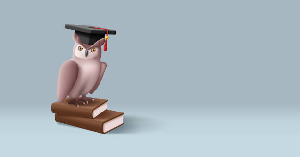 istock 3d owl illustration with graduation cap sitting on books, brown colors, education concept 1533422899