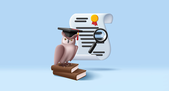 3d owl illustration in graduation cap and diploma or certificate with stamp, education degree illustration