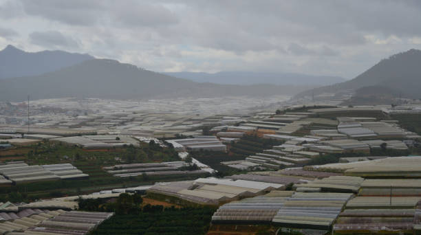 istock Plantations on mountain in Dalat, Vietnam 1533426574