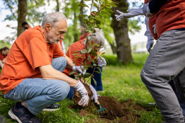 istock Group of activists planting a tree in a forest together 1533430821