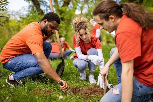 istock Group of young people digging a hole for planting a tree 1533431344