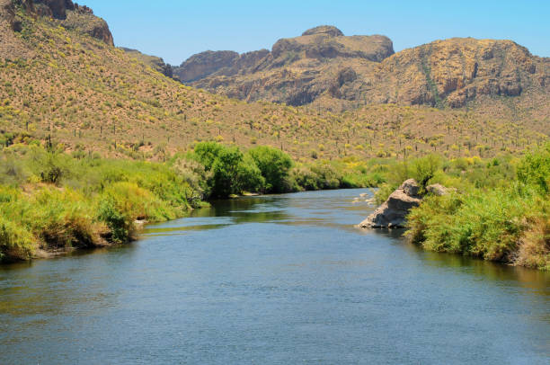 istock Salt River Recreation Area Arizona 1533436102
