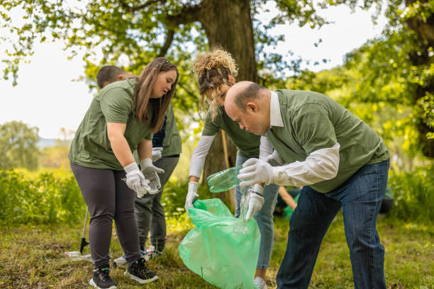 istock Volunteers cleaning a forest from garbage 1533437988