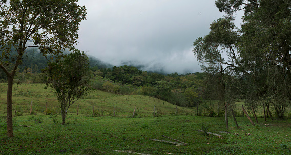 Fog in the mountains of the farm field. Natural green landscape of Serra do Mar. Água Parada, Pedro de Toledo, Brazil.